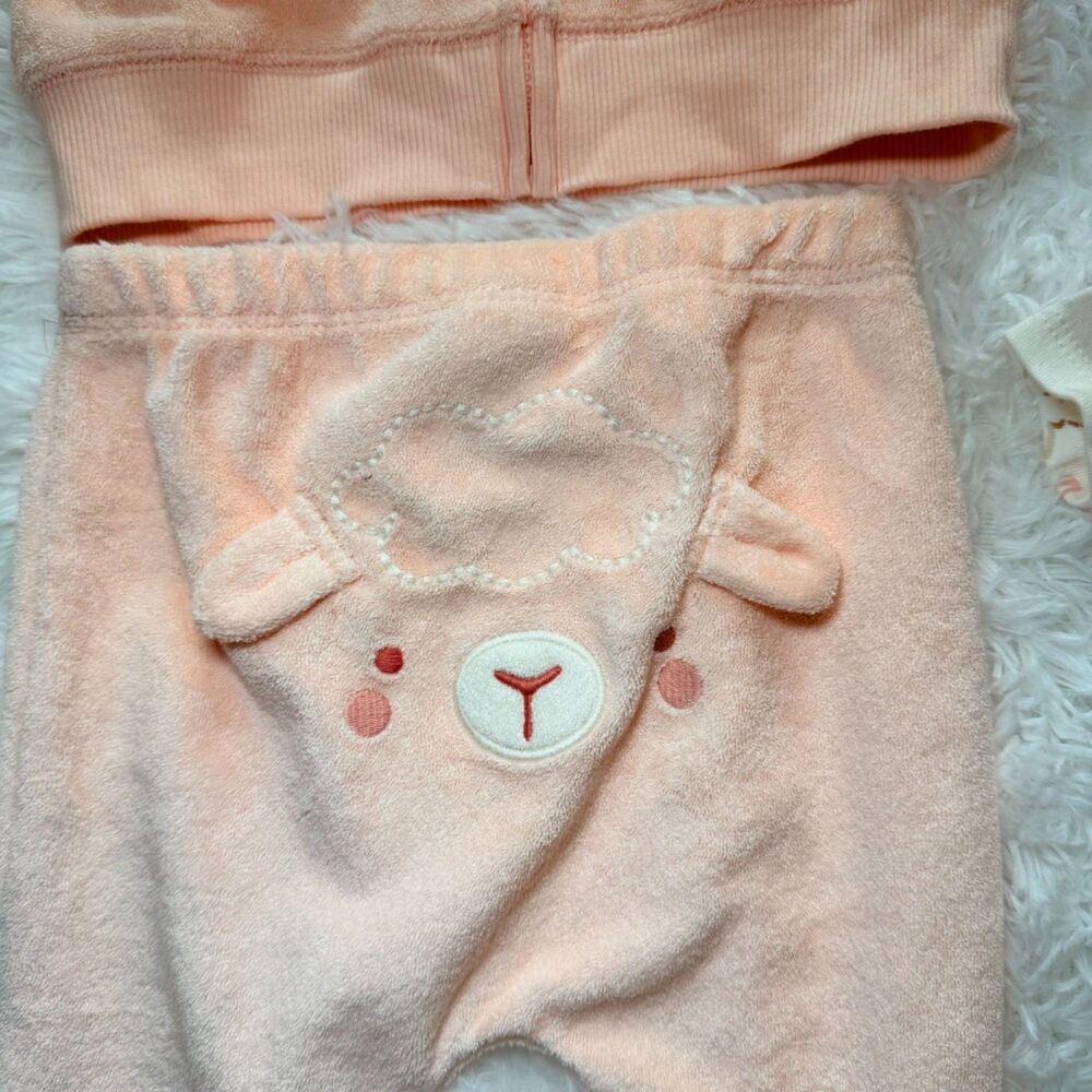 NWT Baby Outfit Set 12M Pink Hoodie Pants Onesie 3 Piece - Picture 3 of 8